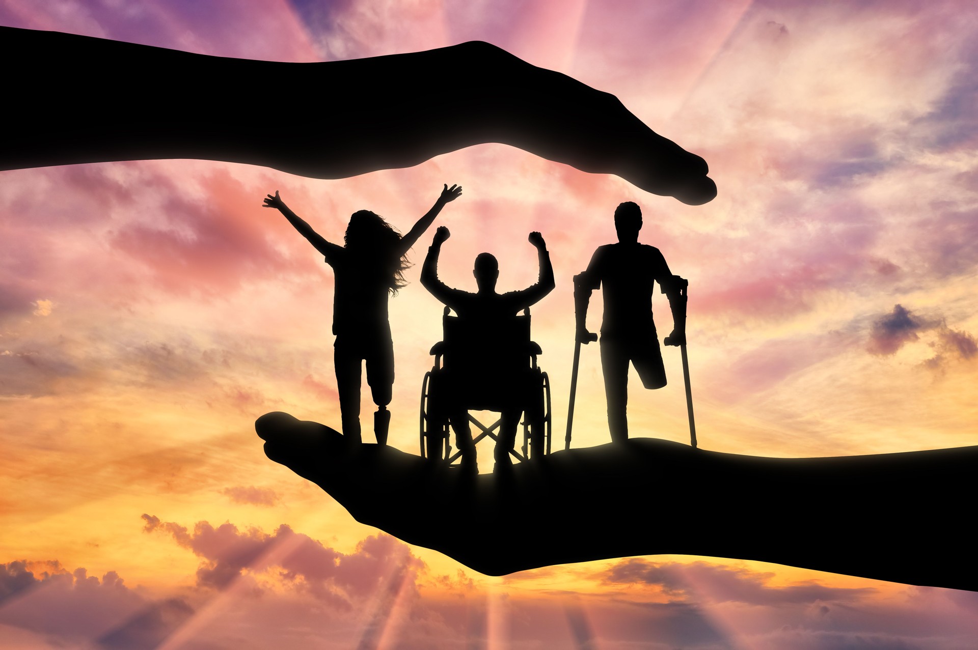 The concept of assistance and protection of the rights of persons with disabilities